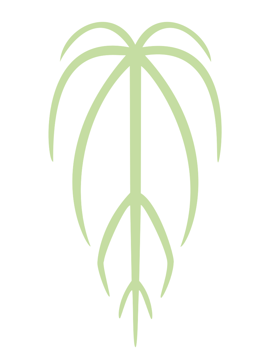 BuzPlants logo