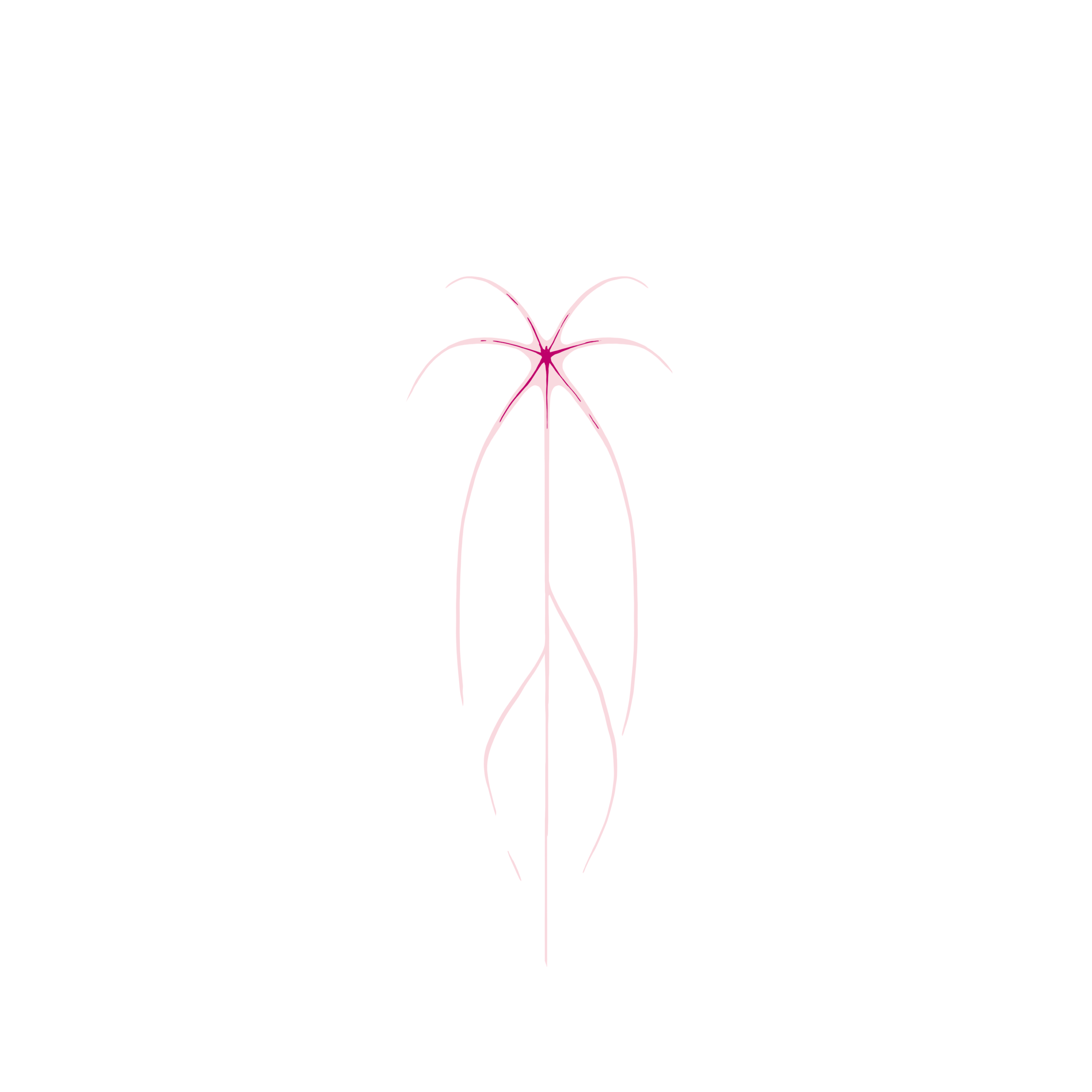 Vanthurium logo