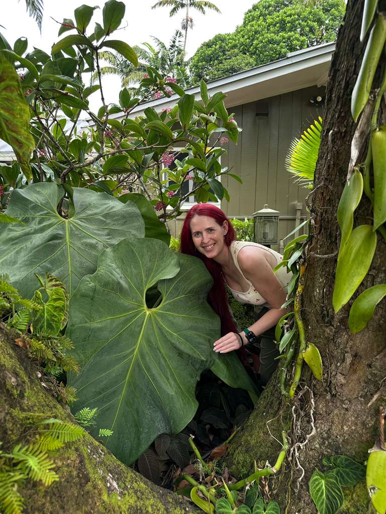 ATL Plant Room — Ashley Willingham