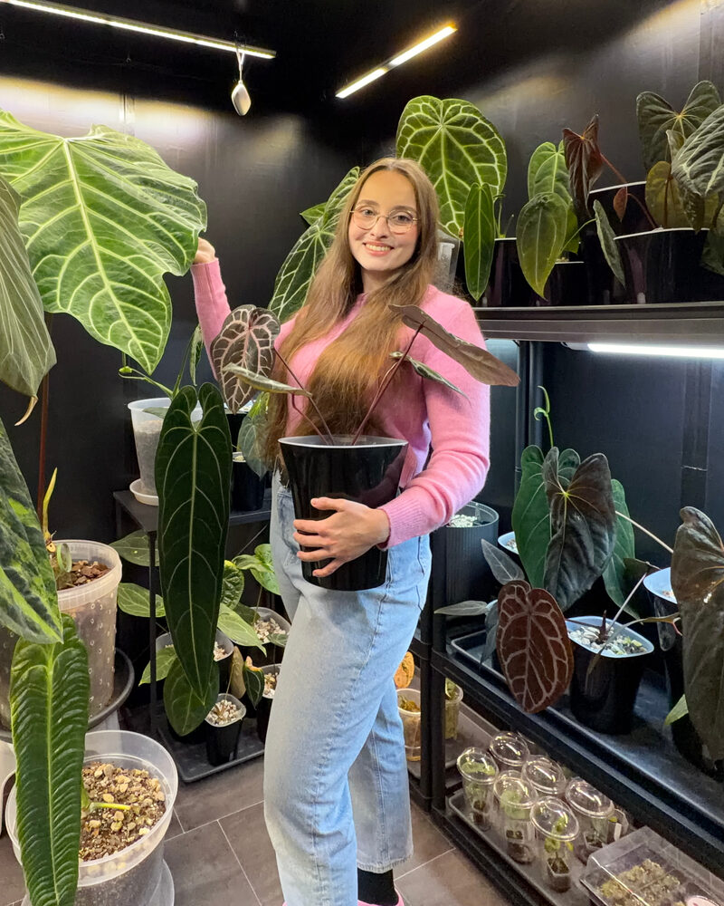 BotanicalKatja — Katja Schurmann