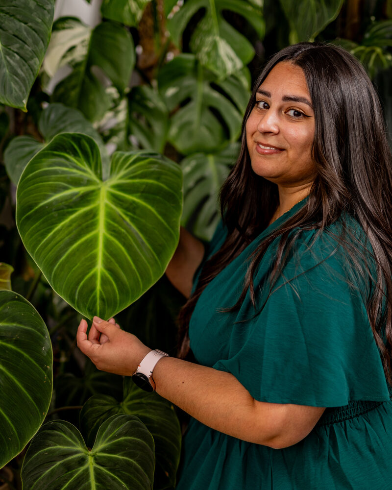 Plantas with Noraiza — Noraiza Loopstok