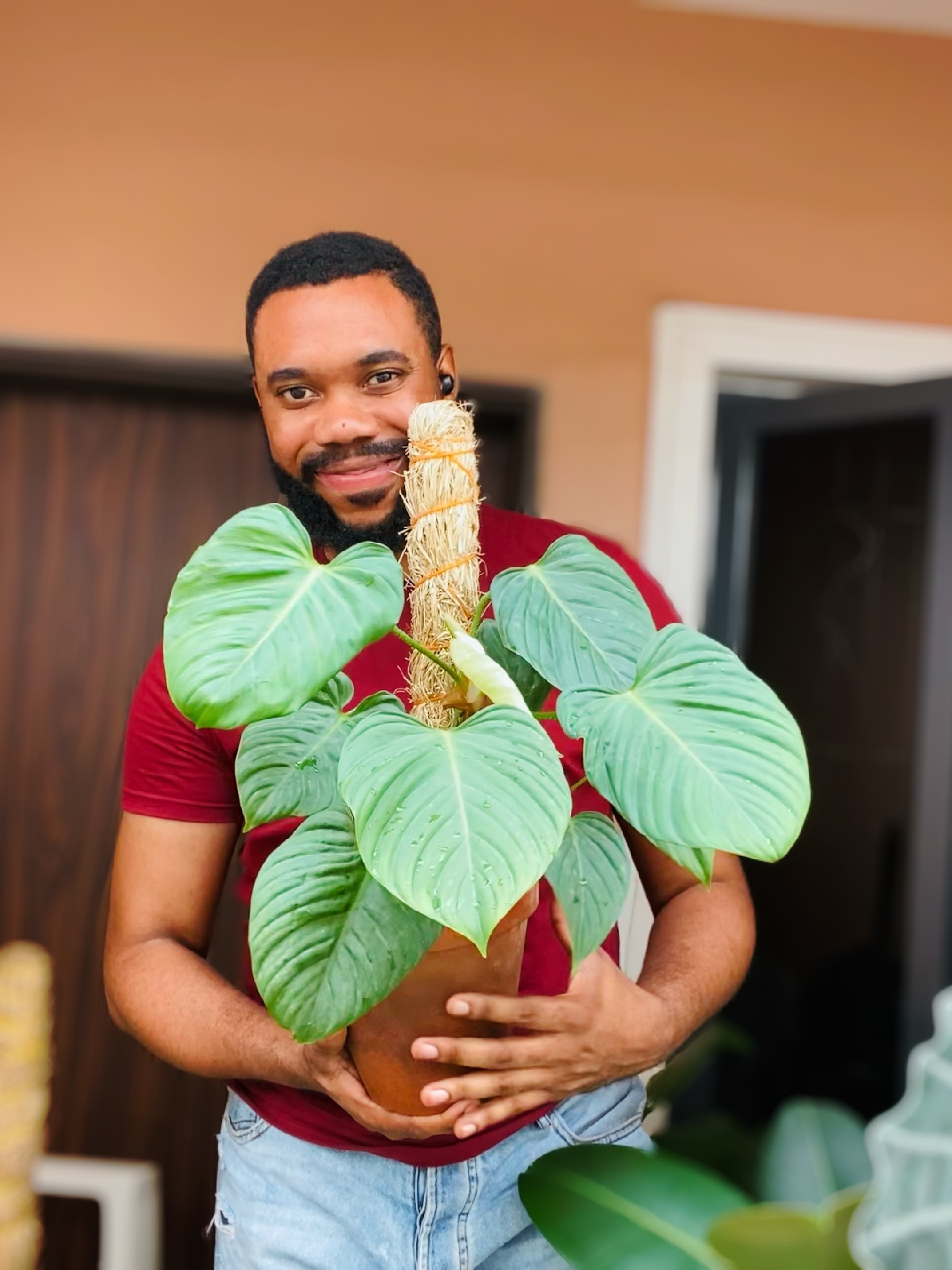 Plantboyng — Ebuka Okonkwo