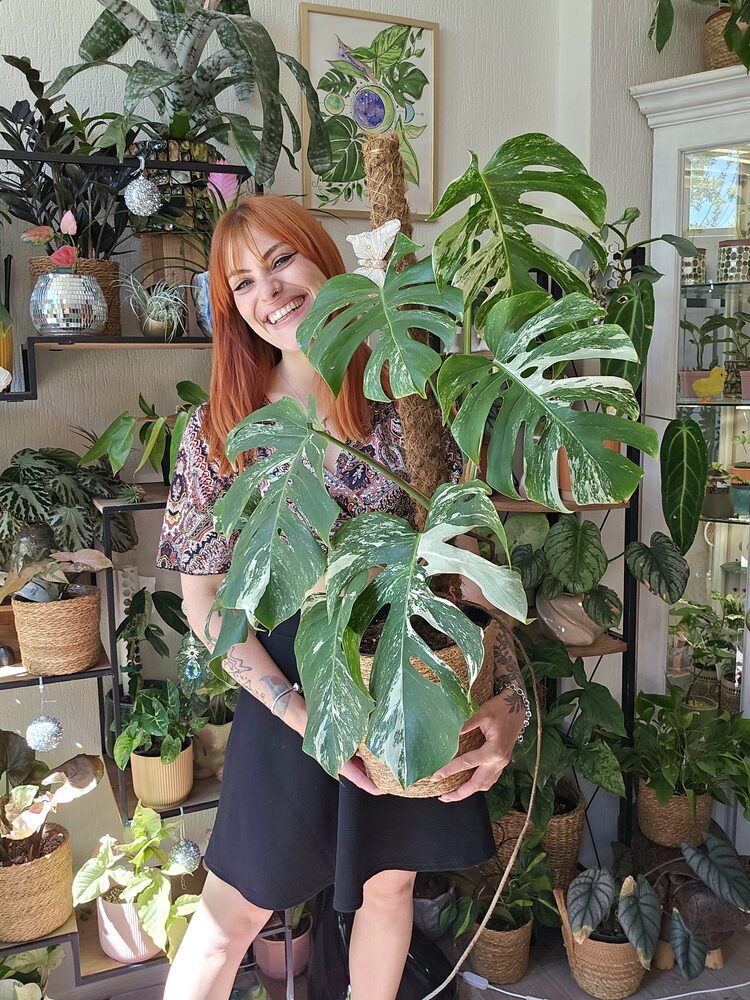 Living Junglee — Robbin Jacobs