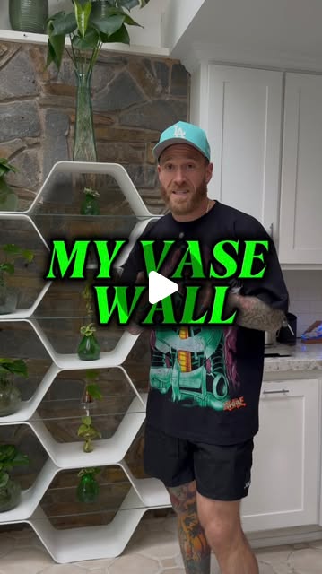 Cassius Marsh – Turning a wall into a living art