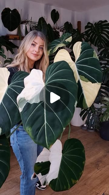 Kaylee Ellen – Uggh I just love it so much