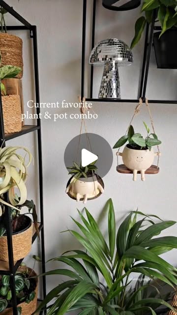 Living Jungles – Robbin Jacobs – How cute are these pots