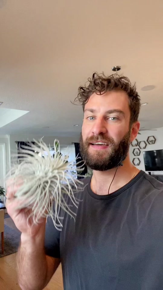 Fit Plant Guy – Don't forget to water weekly!