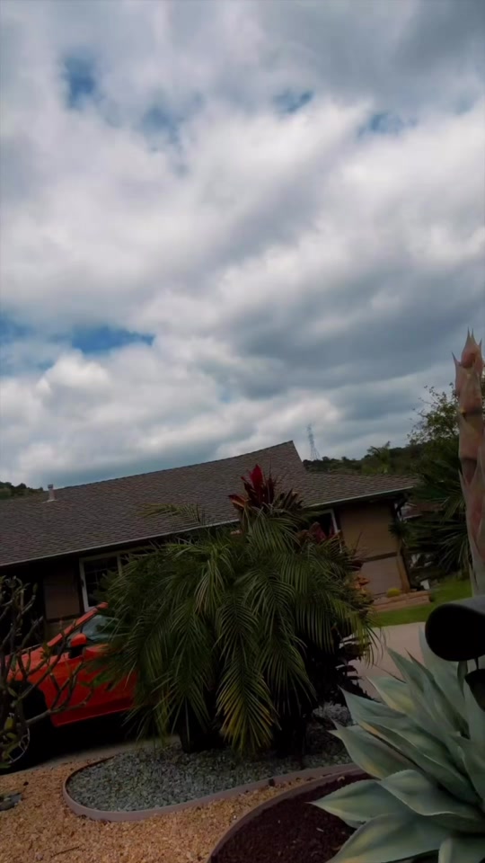 Jake the Plant Guy – Whale Tongue Agave Death Bloom